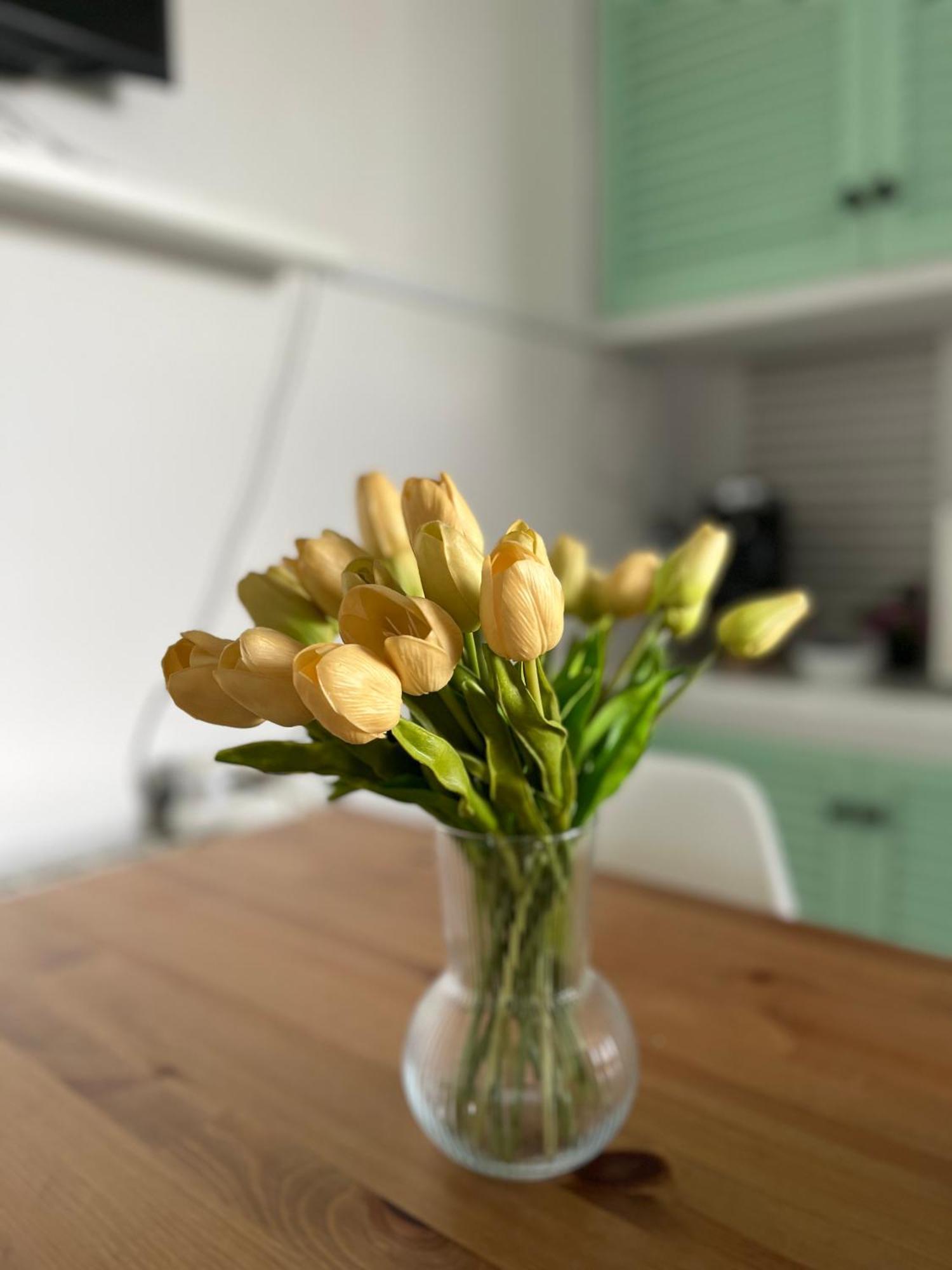 Your Holidays Apartment Platja d'Aro Ngoại thất bức ảnh